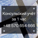 Картинка записи