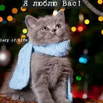 Ірина