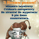 Картинка записи