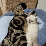 Александра