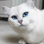 Serhii