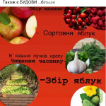 Картинка записи