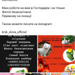 Картинка записи