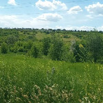 Ірина