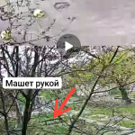Картинка записи