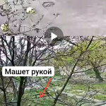 Картинка записи