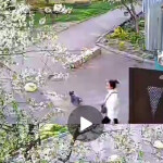 Картинка записи