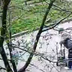 Картинка записи